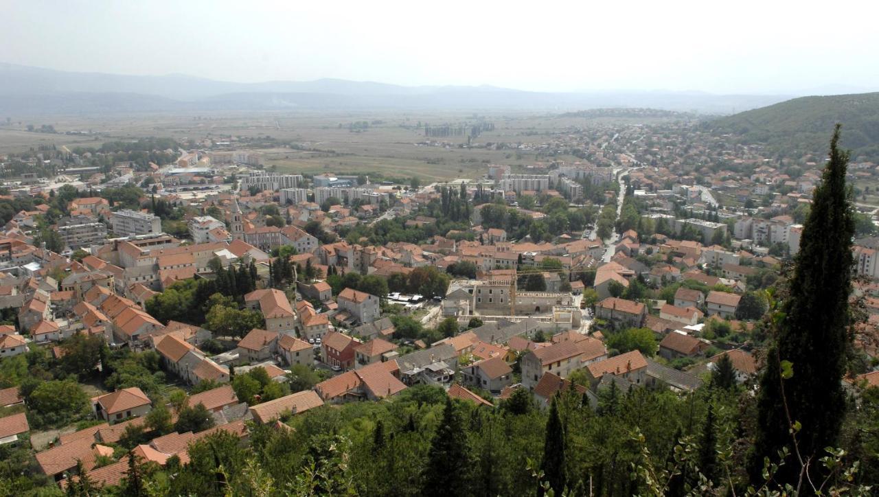 Apartment Antea